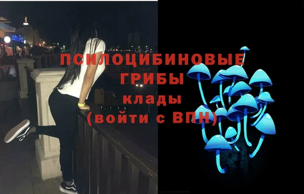 мдпв Переславль-Залесский