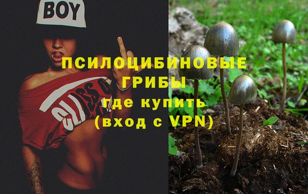 мдпв Переславль-Залесский