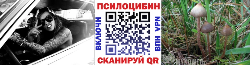 blacksprut ТОР  Струнино  Псилоцибиновые грибы GOLDEN TEACHER  как найти  